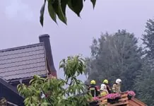 Strażacy na miejscu pożaru