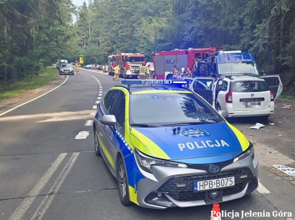 Dacia wbiła się w kampera