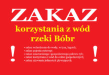 Zakaz korzystania z wód rzeki Bóbr – katastrofa ekologiczna